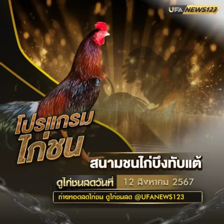 โปรแกรมไก่ชน 12 สิงหาคม 2567