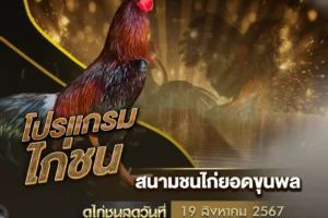 โปรแกรมไก่ชน 19 สิงหาคม 2567