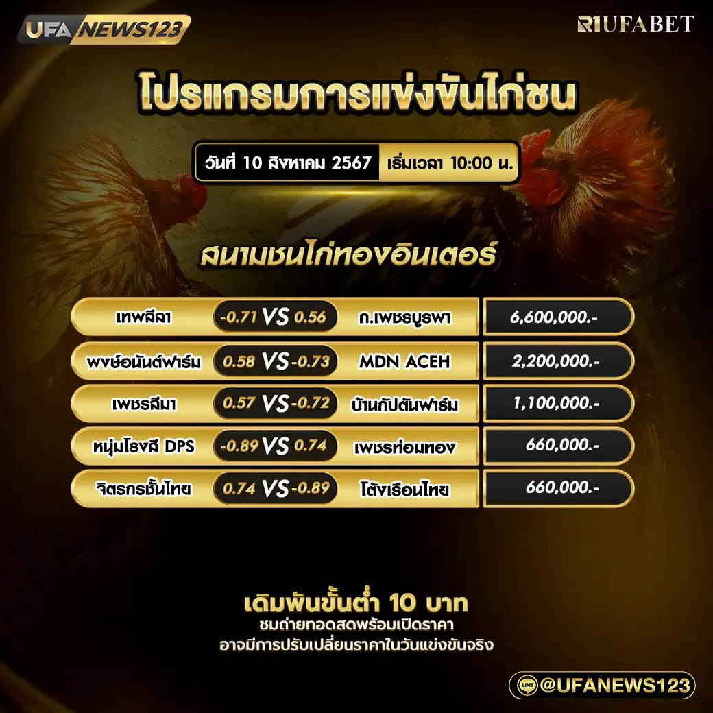 โปรแกรมไก่ชน สนามชนไก่ทองอินเตอร์ เริ่มเวลา 10.00 น. 10 สิงหาคม 2567