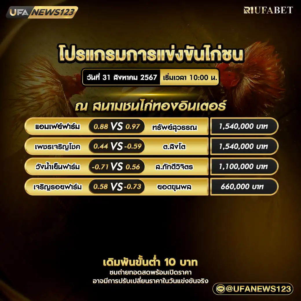 โปรแกรมไก่ชน สนามชนไก่ทองอินเตอร์ เริ่มเวลา 10.00 น. 31 สิงหาคม 2567