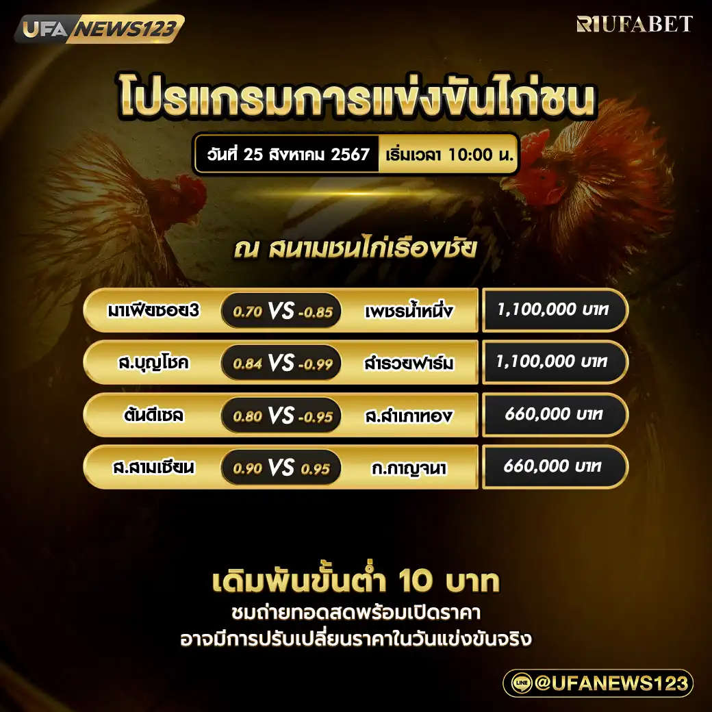 โปรแกรมไก่ชน สนามชนไก่เรืองชัย เริ่มเวลา 10:00 น. 25 สิงหาคม 2567