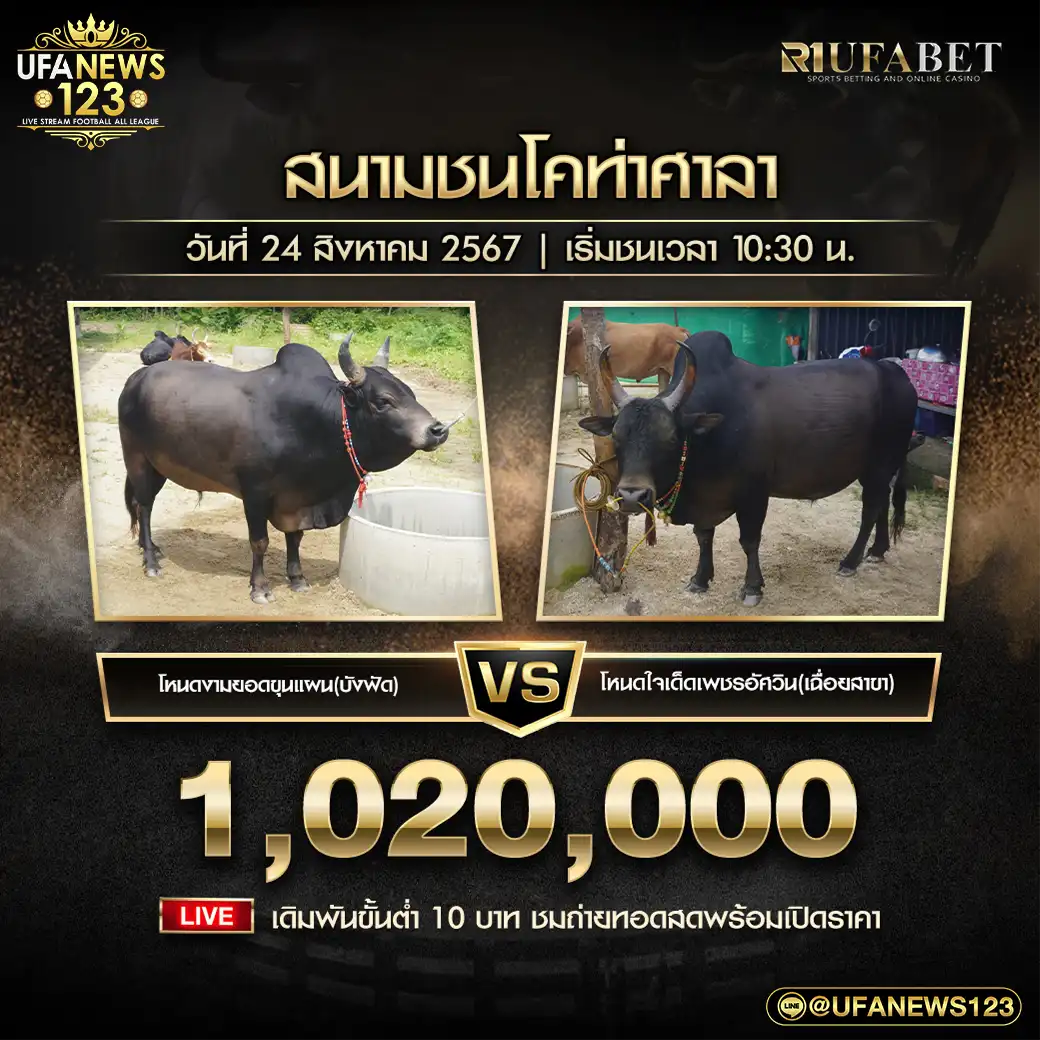 โหนดงามยอดขุนแผน(บังฟัด) VS โหนดใจเด็ดเพชรอัศวิน(เฉื่อยสาขา) ชิงรางวัล 1,020,000 บาท