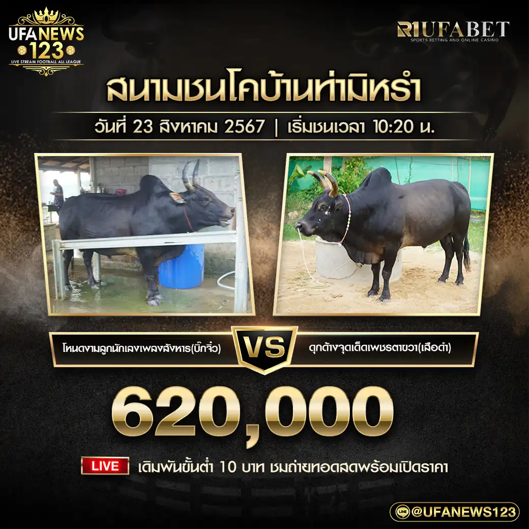 โหนดงามลูกนักเลงเพลงสังหาร(บิ๊กจิ๋ว) VS ดุกด้างจุดเด็ดเพชรตาขวา(เสือดำ) ชิงรางวัล 620,000 บาท