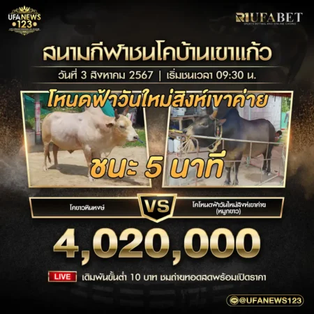 ย้อนหลังวัวชน ขาวหินหงษ์ VS ฟ้าวันใหม่สิงห์เขาค่าย 03 สิงหาคม 2567