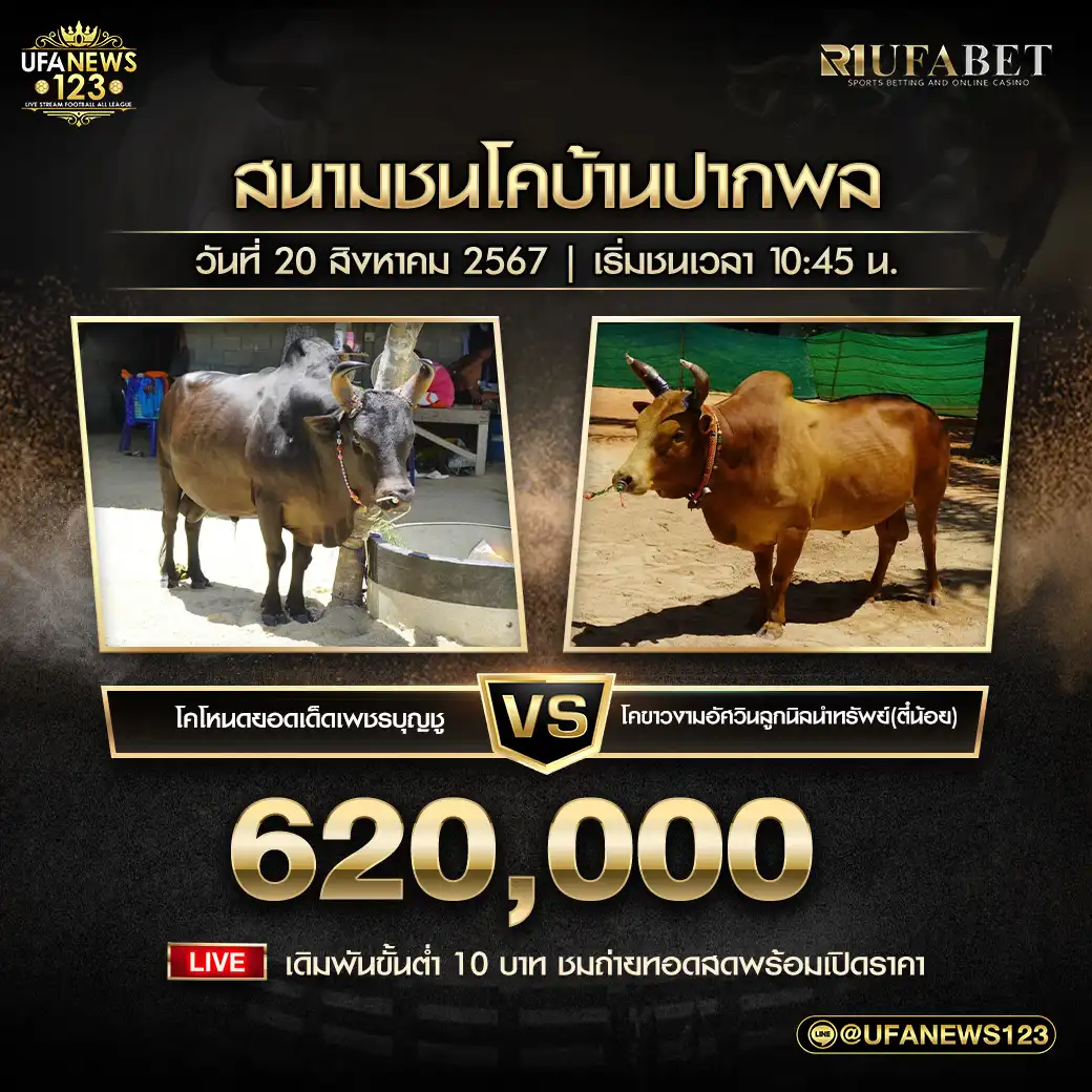 โหนดยอดเด็ดเพชรบุญชู VS ขาวงามอัศวินถูกนิลนำทรัพย์ (ตี๋น้อย) ชิงรางวัล 620,000 บาท