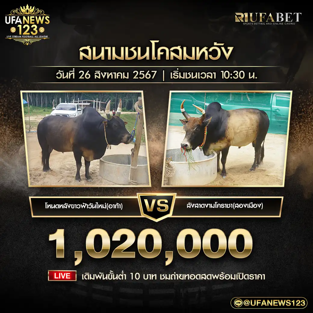 โหนดหลังขาวฟ้าวันใหม่(อาก้า) VS ลังสาดงามโคราชา(สองเมือง) ชิงรางวัล 1,020,000 บาท