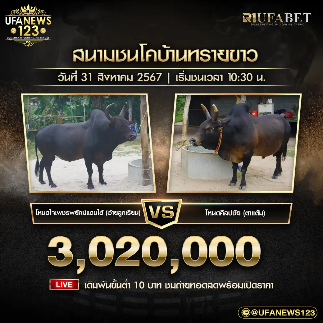 โหนดใจเพชรพยัคฆ์แดนใต้(อ้ายลูกเรียน) VS โหนดศิลปชัย(ตาแต้ม) ชิงรางวัล 3,020,000 บาท