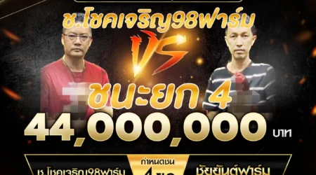 เทปไก่ชน ช.โชคเจริญ 98 ฟาร์ม VS ชัยยันต์ฟาร์ม 07 กันยายน 2567