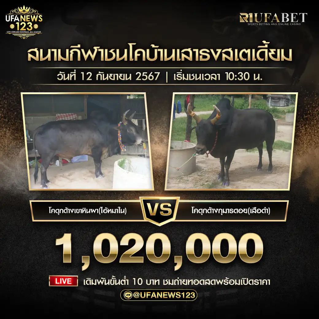 ดุกด้างเขาหินผา (ไอ้หมาใน) VS ดุกด้างกุมารดอย (เสือดำ) ชิงรางวัล 1,020,000 บาท