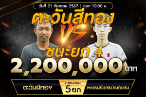 เทปไก่ชน ตะวันสีทอง VS เพชรนำโชค&บ้านกัปตัน 21 กันยายน 2567