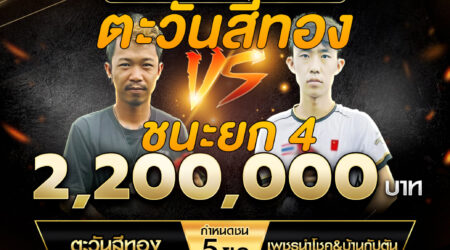 เทปไก่ชน ตะวันสีทอง VS เพชรนำโชค&บ้านกัปตัน 21 กันยายน 2567