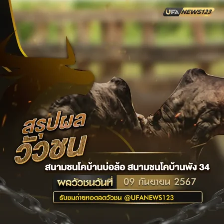 ผลวัวชน 09 กันยายน 2567