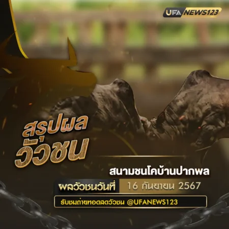 ผลวัวชน 16 กันยายน 2567