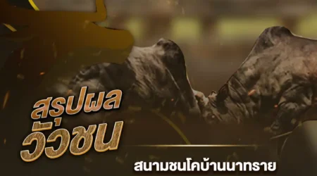 ผลวัวชน 20 กันยายน 2567