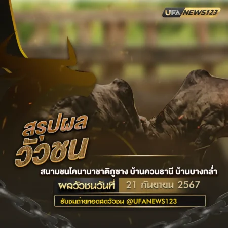 ผลวัวชน 21 กันยายน 2567