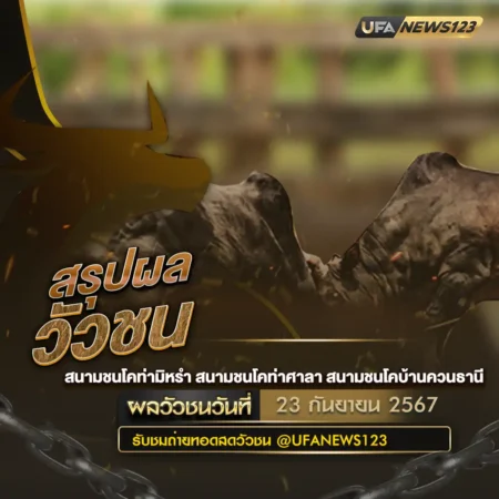 ผลวัวชน 23 กันยายน 2567