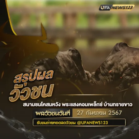 ผลวัวชน 27 กันยายน 2567