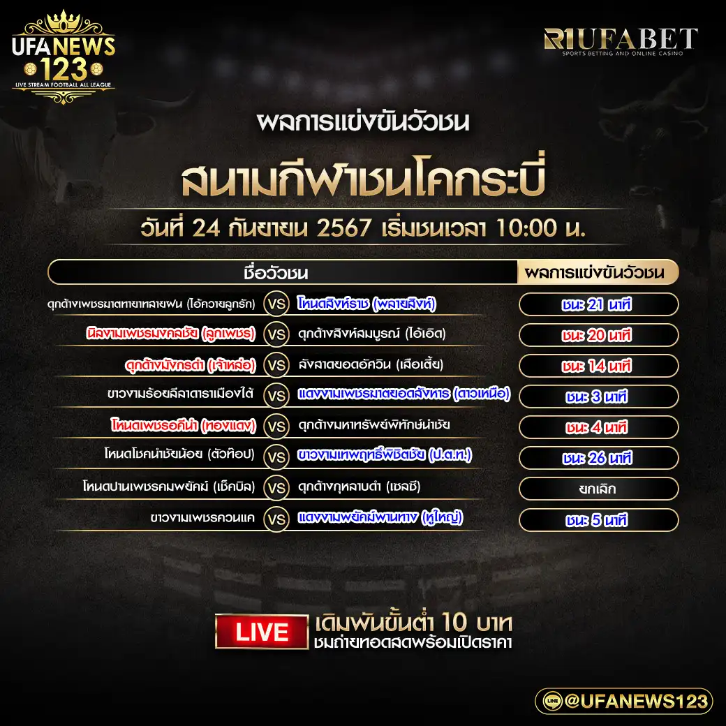 ผลวัวชน สนามชนโคกระบี่ 24 กันยายน 2567