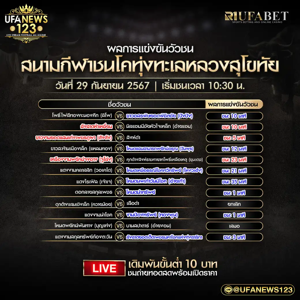 ผลวัวชน สนามชนโคทุ่งทะเลหลวงสุโขทัย 29 กันยายน 2567