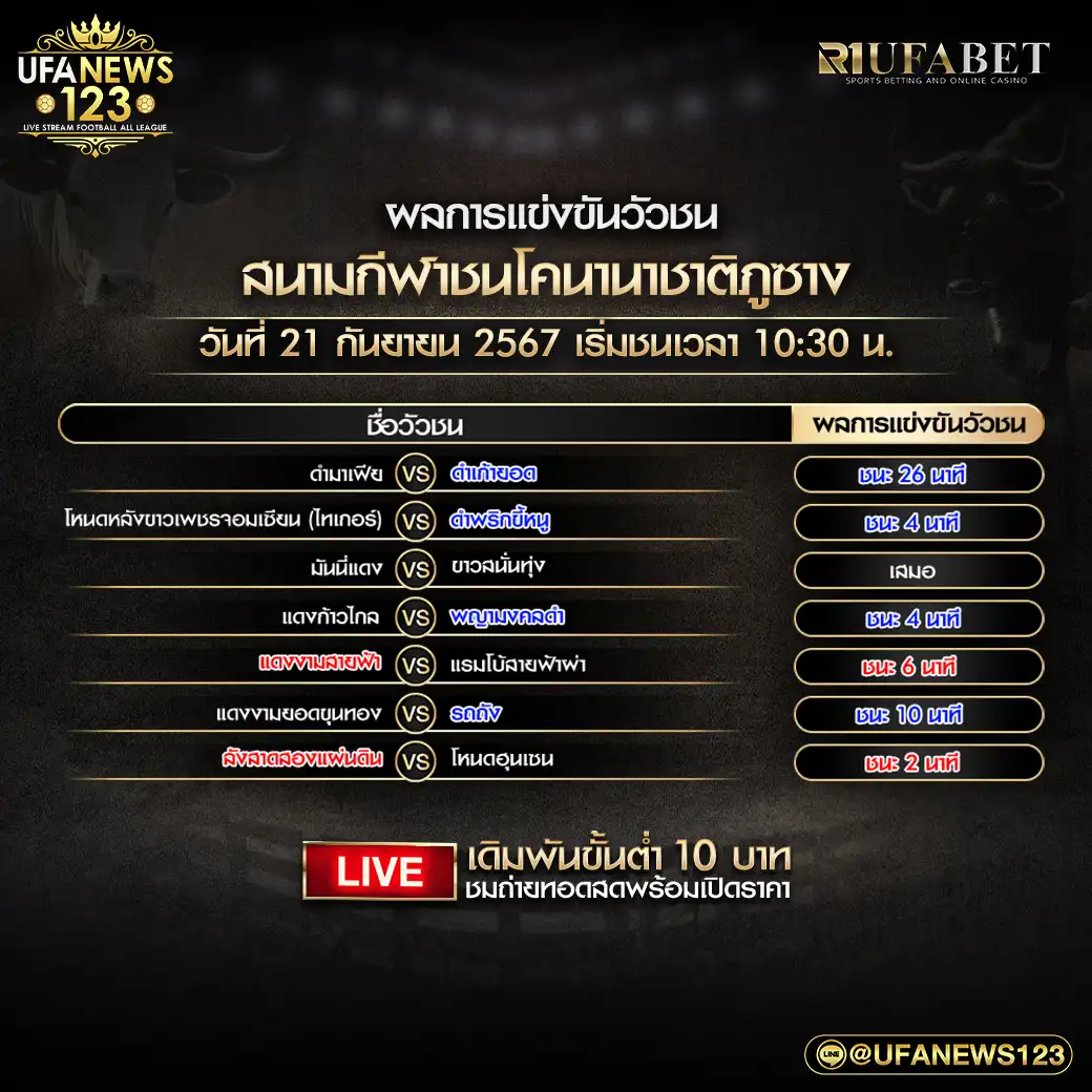 ผลวัวชน สนามชนโคนานาชาติภูซาง 21 กันยายน 2567