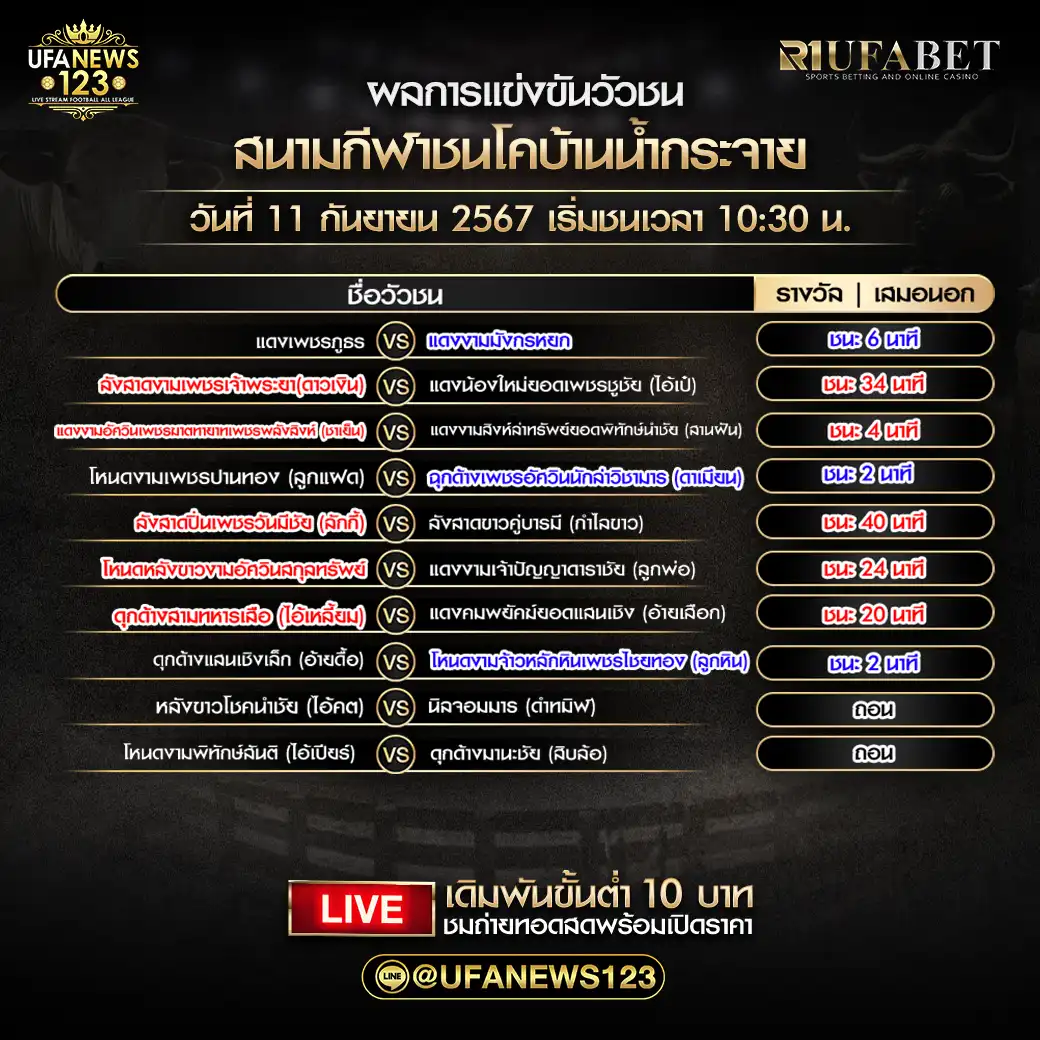 สรุปผลวัวชน สนามกีฬาชนโคบ้านนํ้ากระจาย 11 กันยายน 2567