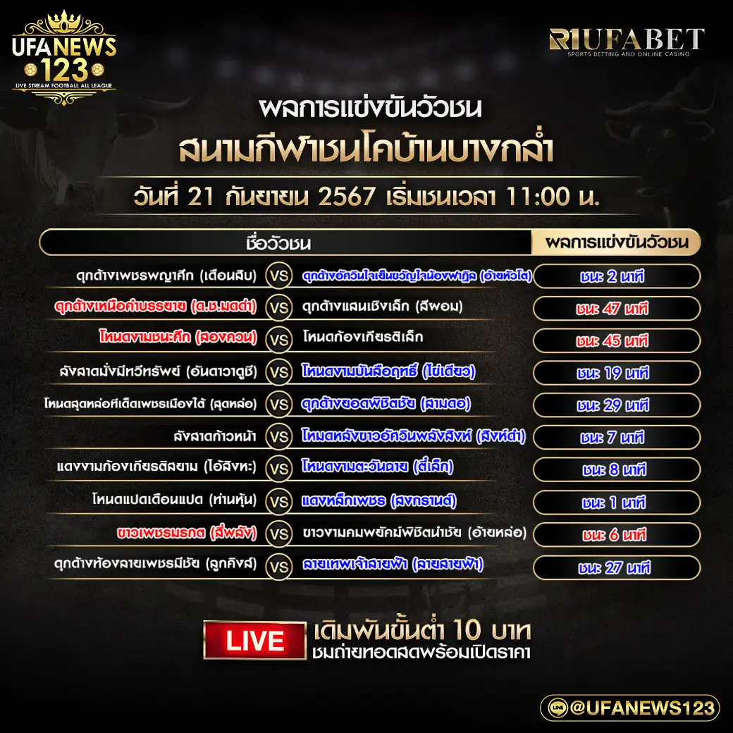 ผลวัวชน สนามชนโคบ้านบางกล่ำ 21 กันยายน 2567