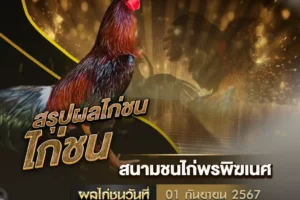 ผลไก่ชน 01 กันยายน 2567