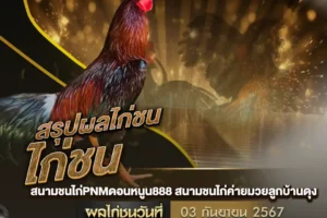 ผลไก่ชน 03 กันยายน 2567