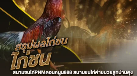 ผลไก่ชน 03 กันยายน 2567