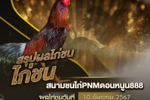 ผลไก่ชน 10 กันยายน 2567