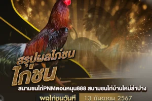 ผลไก่ชน 13 กันยายน 2567