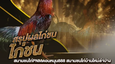 ผลไก่ชน 13 กันยายน 2567