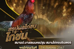 ผลไก่ชน 14 กันยายน 2567