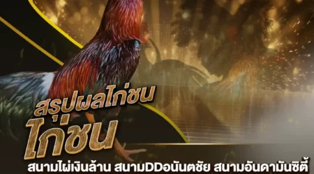 ผลไก่ชน 15 กันยายน 2567