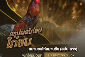 ผลไก่ชน 18 กันยายน 2567