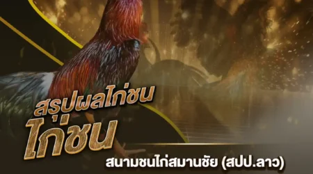 ผลไก่ชน 18 กันยายน 2567