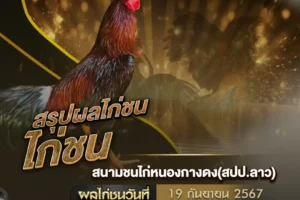 ผลไก่ชน 19 กันยายน 2567