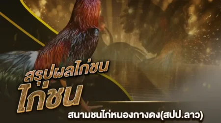 ผลไก่ชน 19 กันยายน 2567