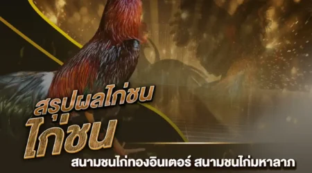 ผลไก่ชน 21 กันยายน 2567