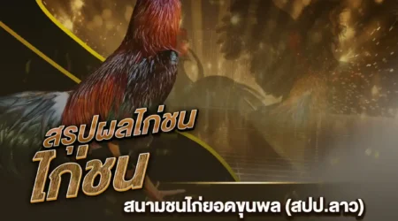 ผลไก่ชน 23 กันยายน 2567