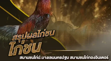 ผลไก่ชน 28 กันยายน 2567