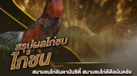 ผลไก่ชน 29 กันยายน 2567