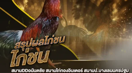 ผลไก่ชน 31 สิงหาคม 2567