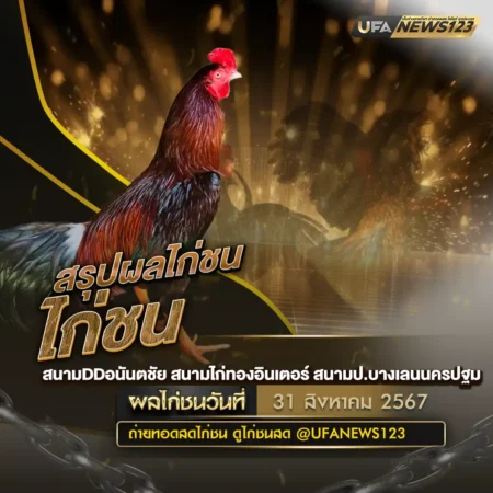 ผลไก่ชน 31 สิงหาคม 2567