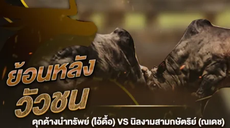 ย้อนหลังวัวชน ดุกด้างนำทรัพย์ VS นิลงามสามกษัตริย์ 19 กันยายน 2567