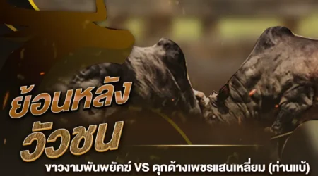 ย้อนหลังวัวชน ขาวงามพันพยัคฆ์ VS ดุกด้างเพชรแสนเหลี่ยม 18 กันยายน 2567