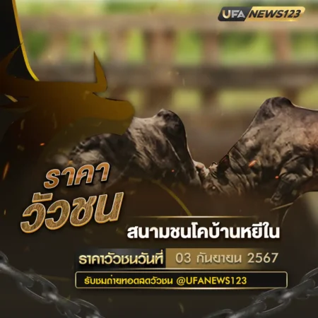 ผลวัวชน 03 กันยายน 2567