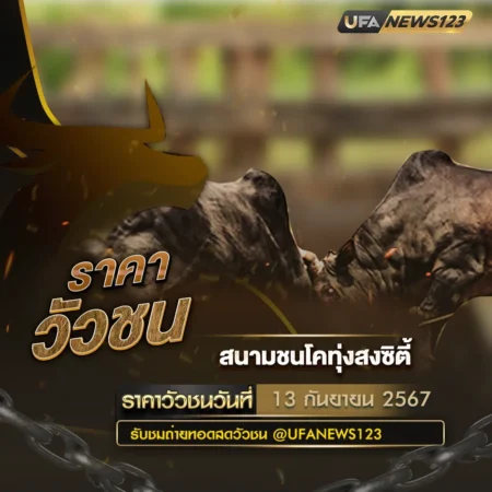 ราคาวัวชน 13 กันยายน 2567