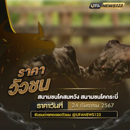 ราคาวัวชน 24 กันยายน 2567