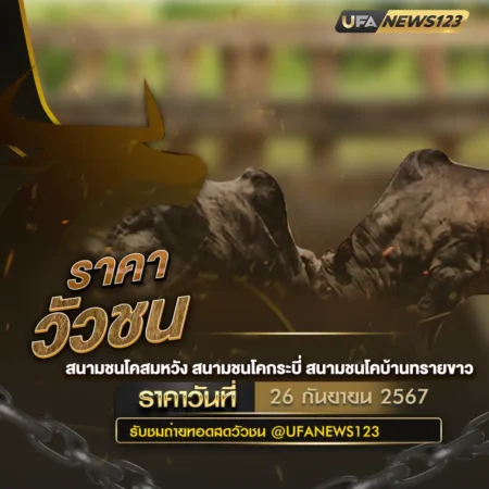 ราคาวัวชน 26 กันยายน 2567